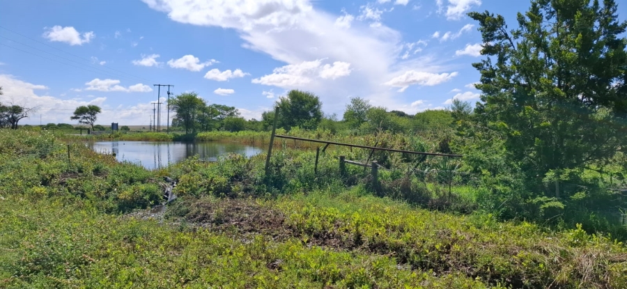 Commercial Property for Sale in Bloemfontein Rural Free State